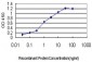 CNAP1 Antibody (monoclonal) (M01)